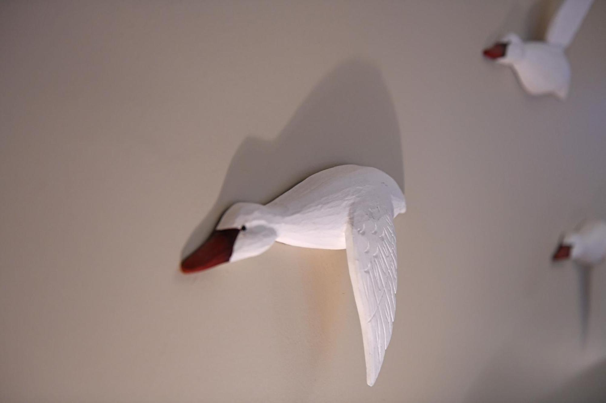 Seagulls' House Apartment Evdilos  Exterior foto